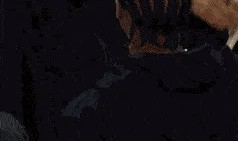 别生气了哈登...他竟然笑着跟登哥求和