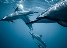 B体育官方：用科技点亮你的运动之路